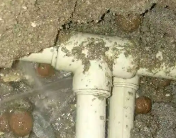 都安测漏水多少钱