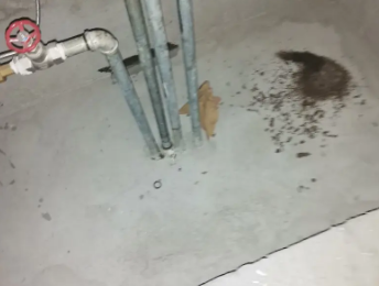 都安卫生间测漏水价格明细