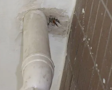 都安漏水检测哪家好